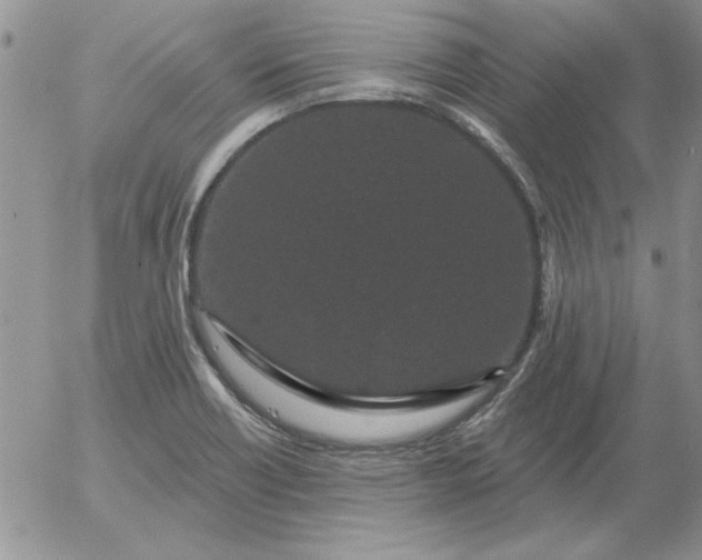 X0000052981418200507221316