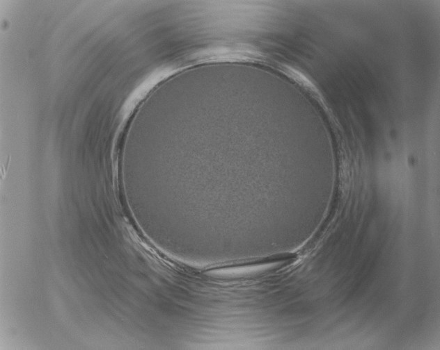 X0000052981419200507221316