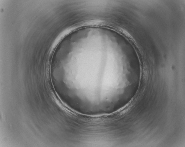 X0000052981421200507221316