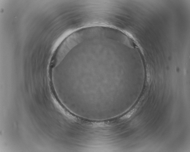 X0000052981422200507221316