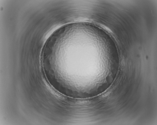 X0000052981423200507221316