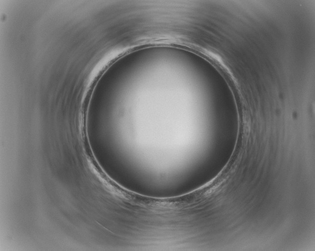 X0000052981424200507221316