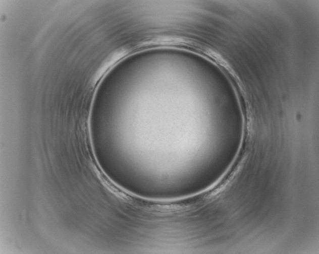 X0000052981425200507221316