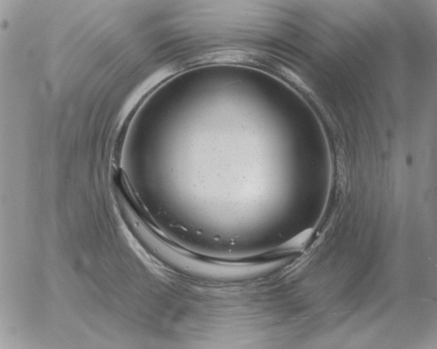 X0000052981426200507221316