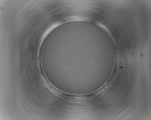 X0000052981427200507221316