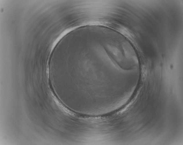 X0000052981428200507221316