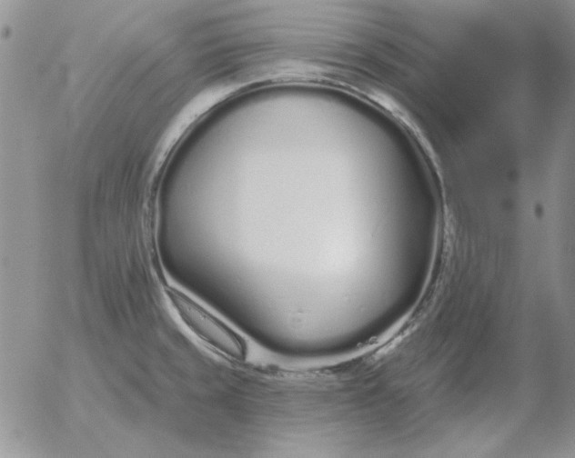 X0000052981429200507221316