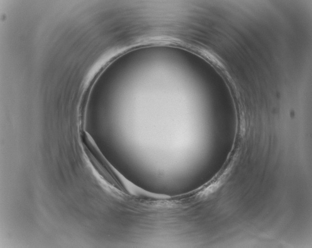 X0000052981430200507221316