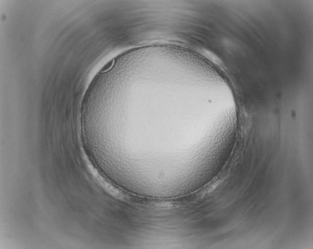 X0000052981431200507221316