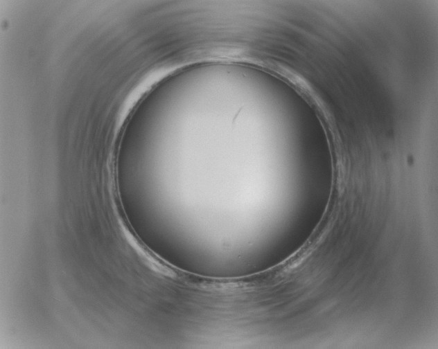 X0000052981432200507221316