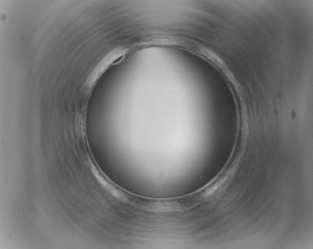 X0000052981433200507221316