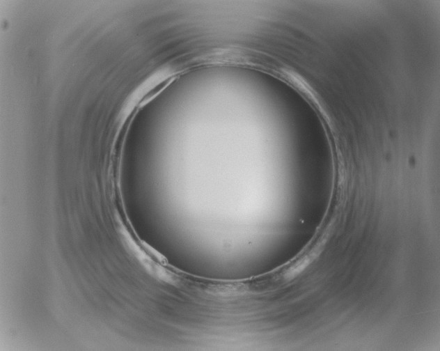 X0000052981434200507221316