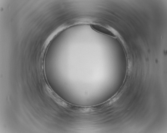 X0000052981435200507221316