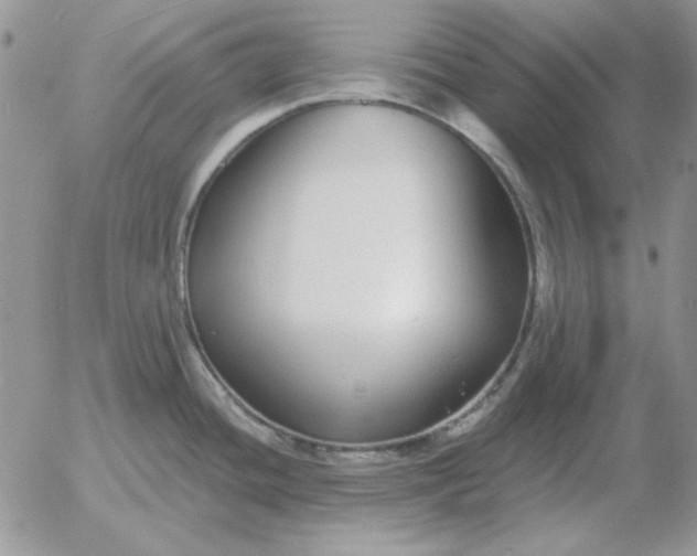 X0000052981436200507221316