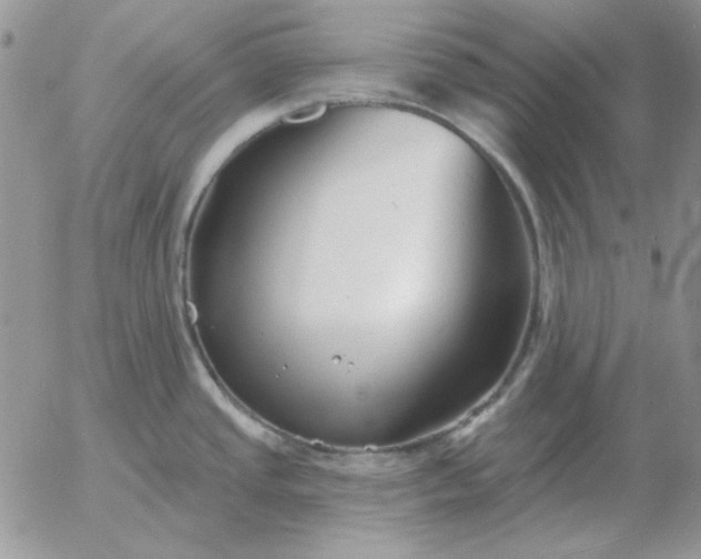 X0000052981437200507221316