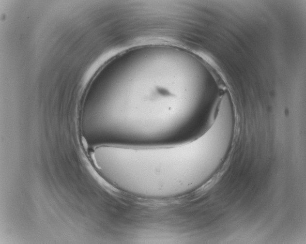 X0000052981438200507221316