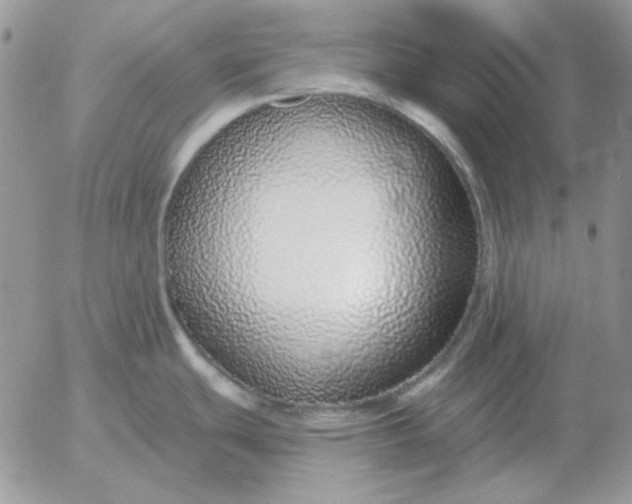 X0000052981439200507221316