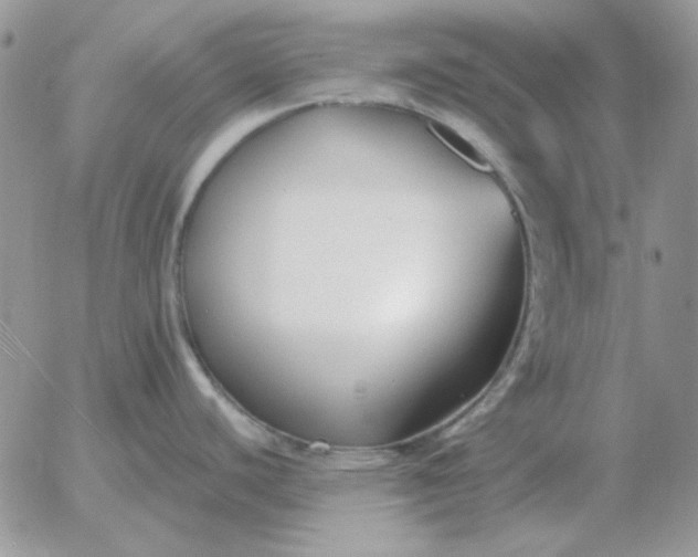 X0000052981440200507221316