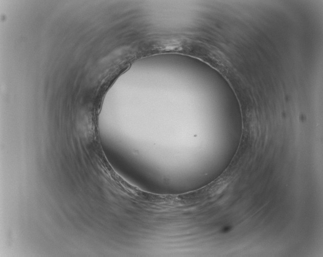 X0000052981442200507221316