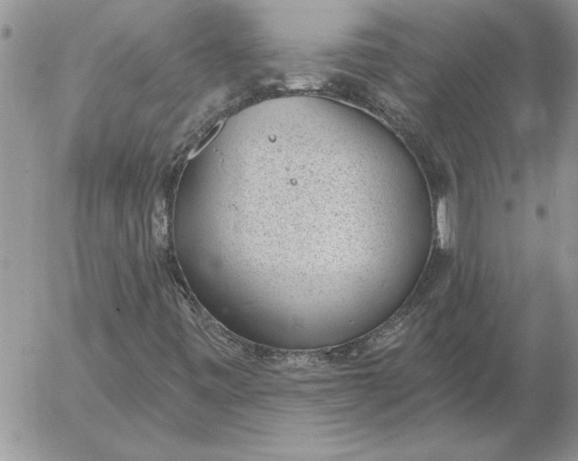 X0000052981443200507221316