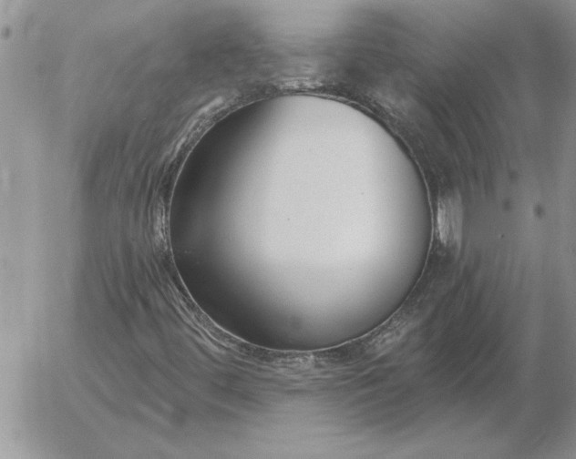 X0000052981444200507221315