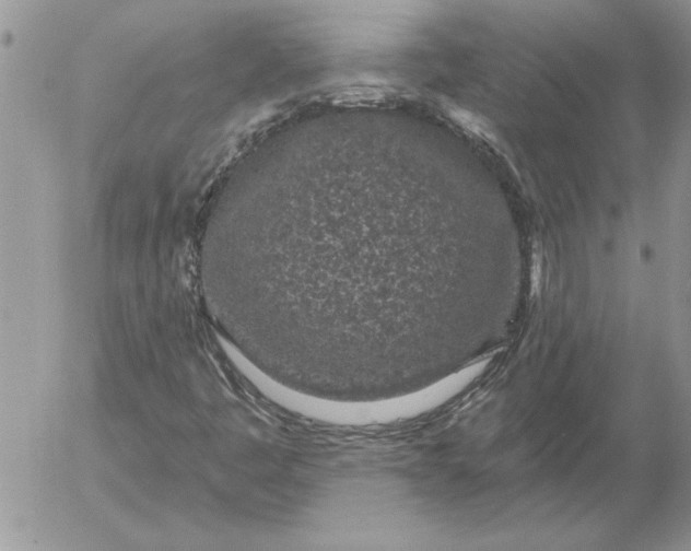 X0000052981445200507221315