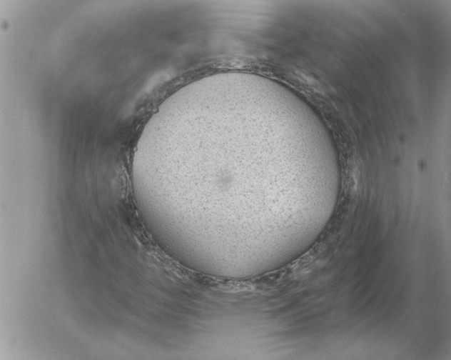 X0000052981446200507221315