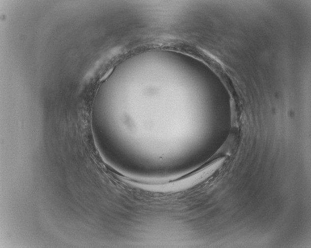 X0000052981447200507221315