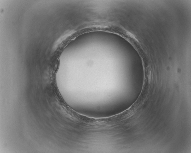 X0000052981448200507221315