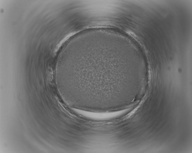 X0000052981449200507221315