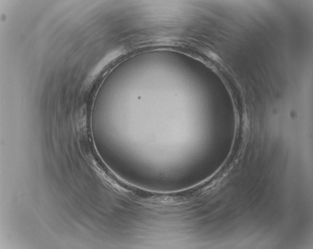 X0000052981450200507221315