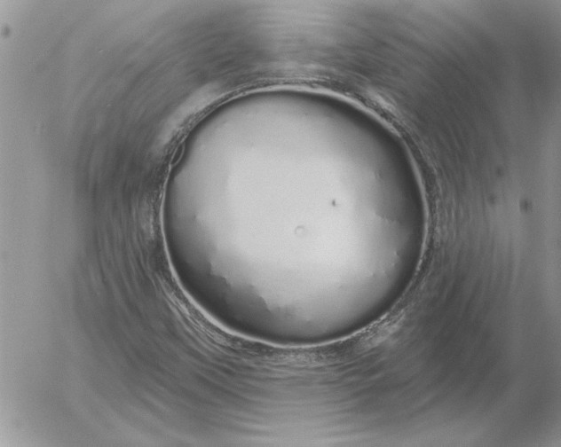 X0000052981451200507221315