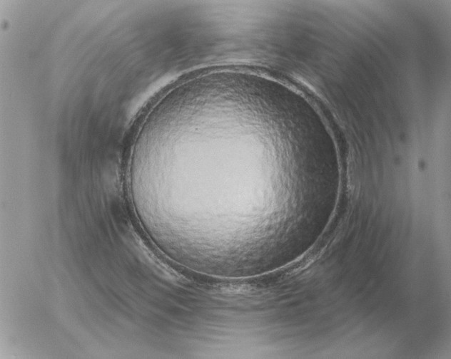 X0000052981452200507221315