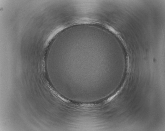 X0000052981453200507221315