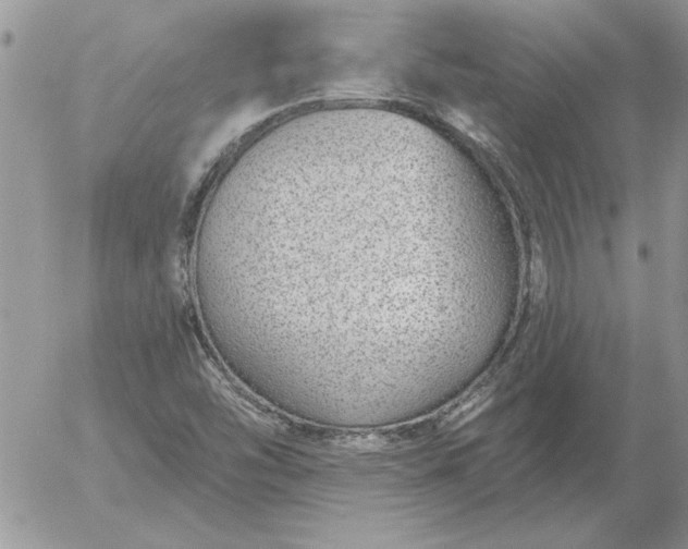 X0000052981454200507221315