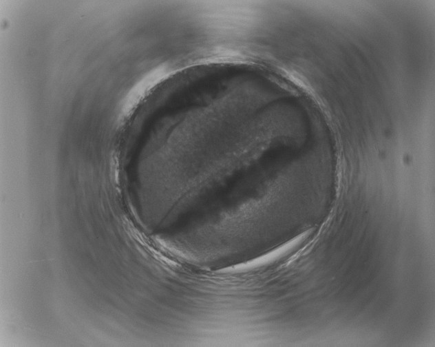 X0000052981455200507221315