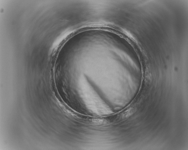 X0000052981456200507221315