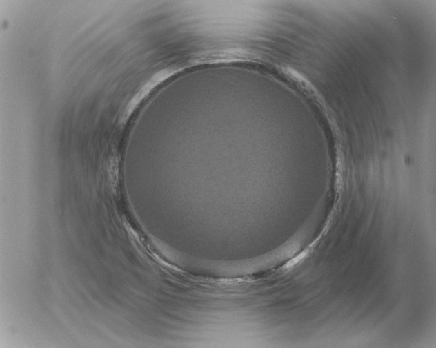 X0000052981457200507221315