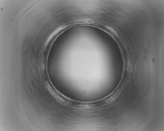 X0000052981458200507221315