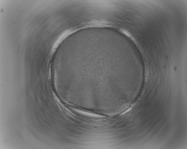 X0000052981459200507221315