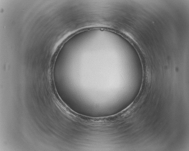 X0000052981460200507221315