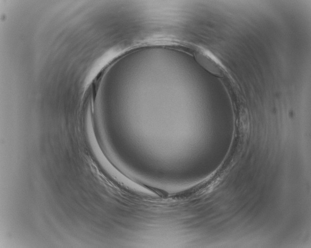 X0000052981461200507221315