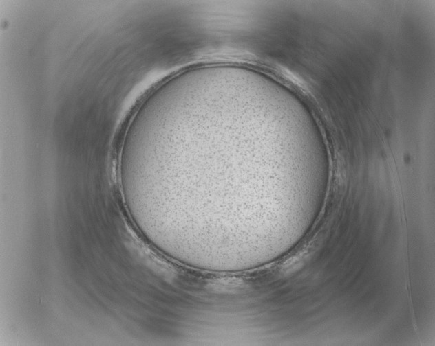 X0000052981462200507221315