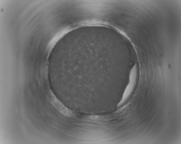 X0000052981463200507221315