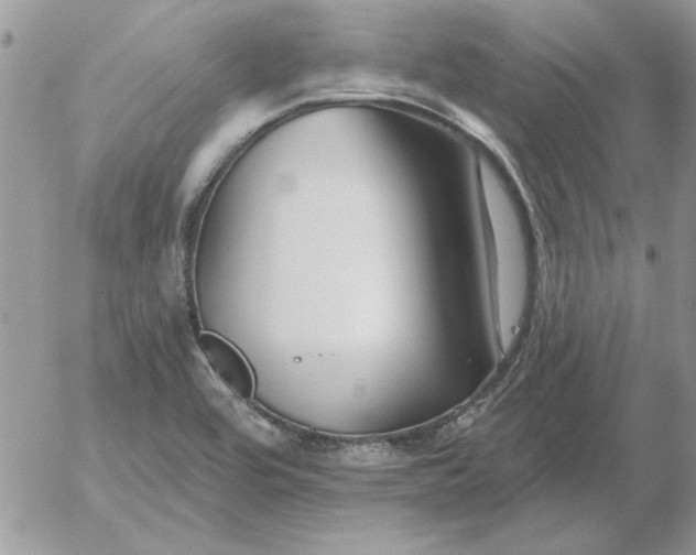 X0000052981464200507221315