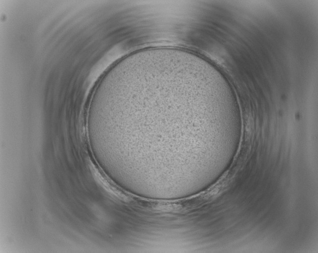 X0000052981466200507221315