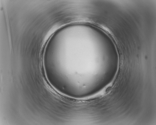 X0000052981467200507221315