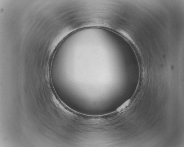 X0000052981468200507221315