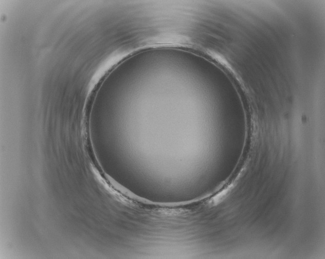 X0000052981469200507221315