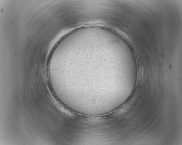 X0000052981470200507221315